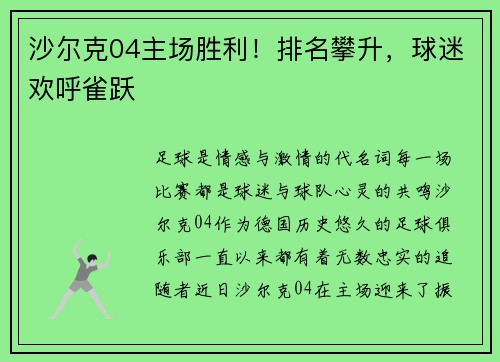沙尔克04主场胜利！排名攀升，球迷欢呼雀跃